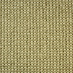 GALLANTRY TOO - 459 BUTTERSCOTCH CARPET