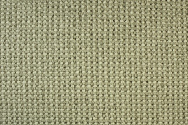 GALLANTRY TOO - 733 DEW DROP CARPET