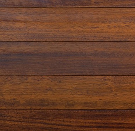 BRAZILIAN CHERRY