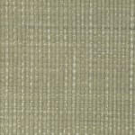 FILBERT - 21 SILVER