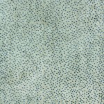 TEATRE - 21/5803 GREY / BLUE