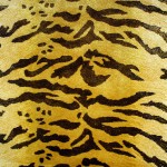 TIGER - CUSTOM